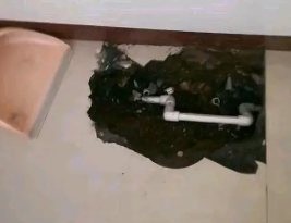巴里坤哈萨克卫生间测漏水多少钱